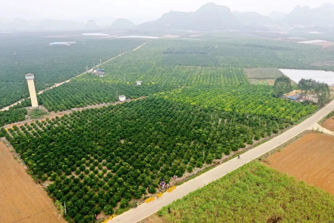 微信圖片_20240326165803.jpg 微信圖片_20240326165803.jpg