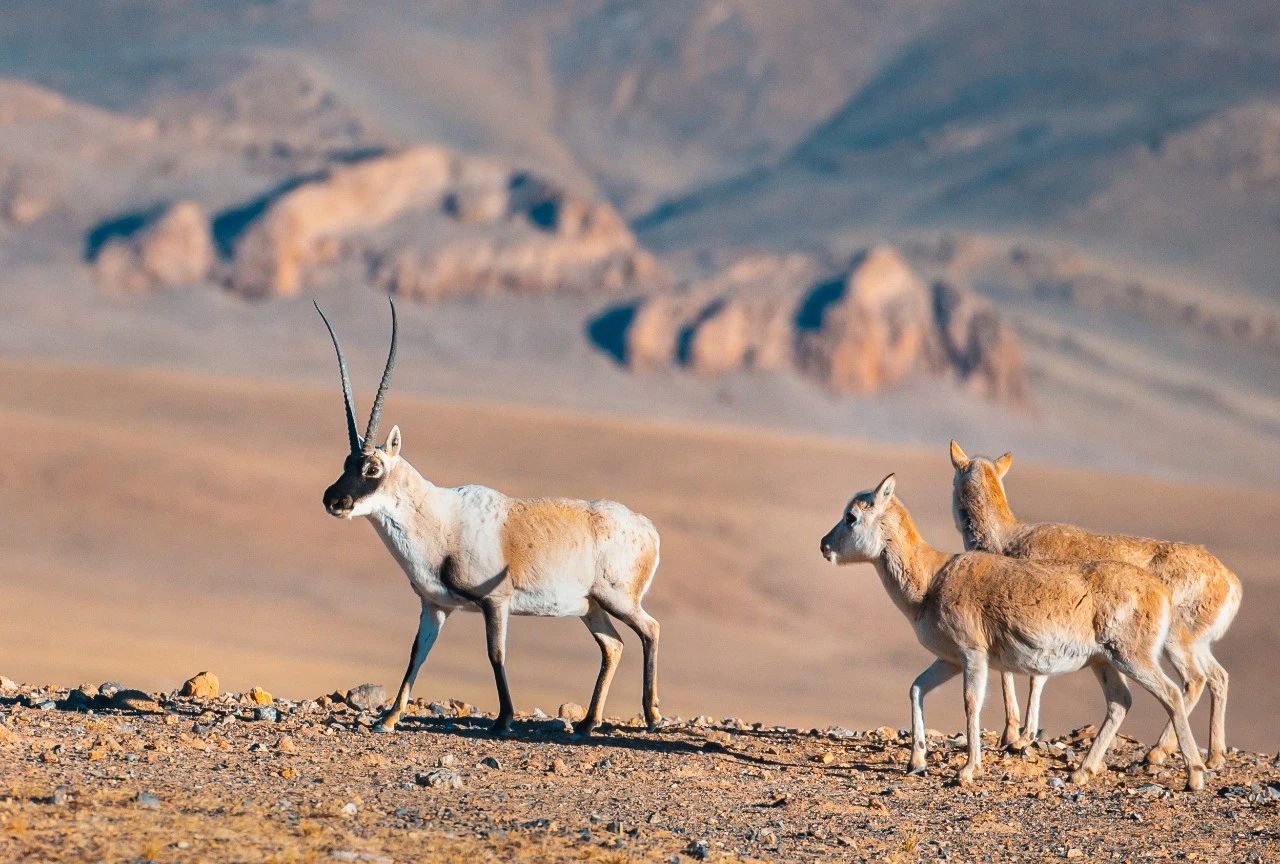 微信圖片_20240328090029.jpg 微信圖片_20240328090029.jpg