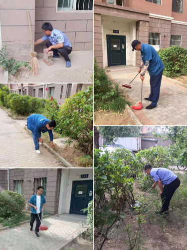 success 53fd28110fe340b4d0ff13fbb75699e.png