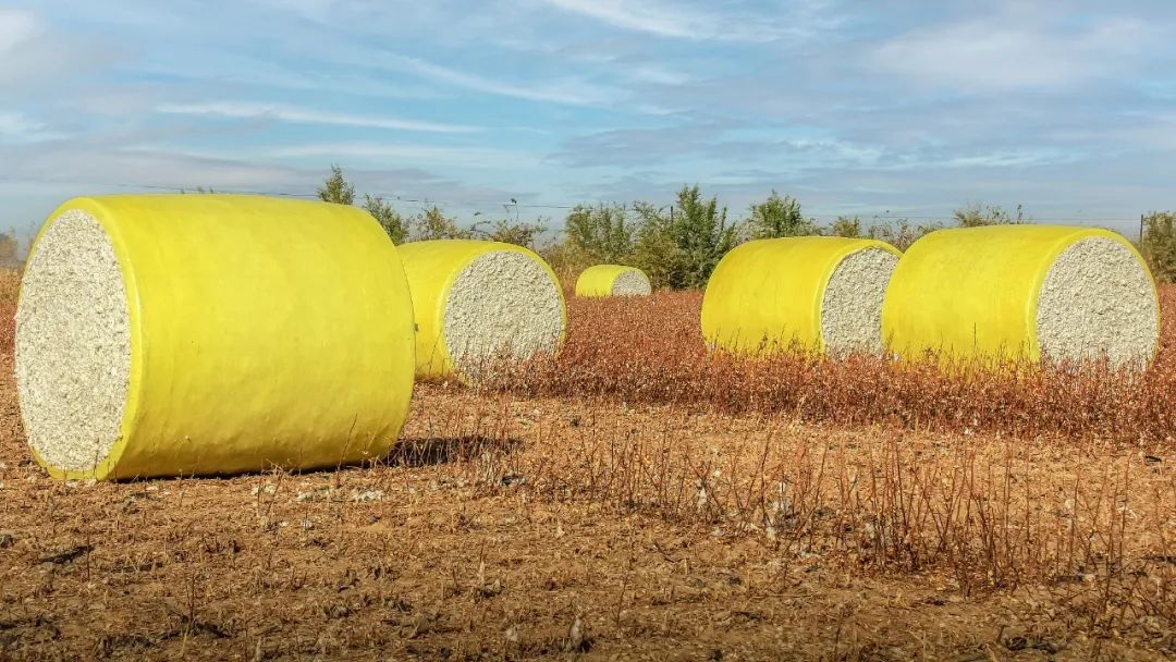 微信圖片_20240129090439.jpg 微信圖片_20240129090439.jpg