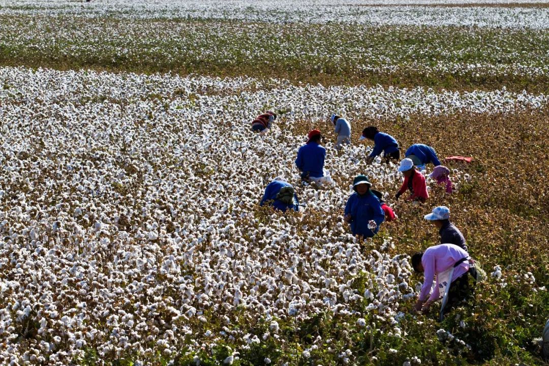 微信圖片_20240129090442.jpg 微信圖片_20240129090442.jpg