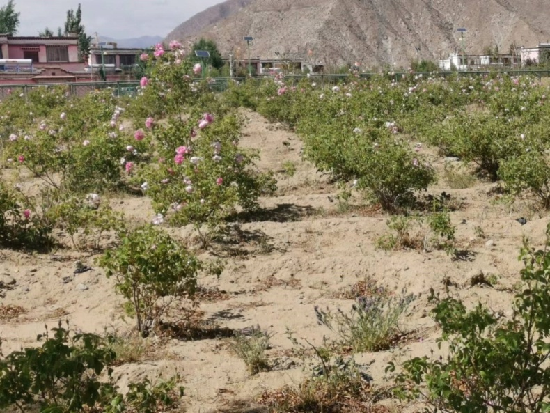 微信圖片_20240328090006.png 微信圖片_20240328090006.png