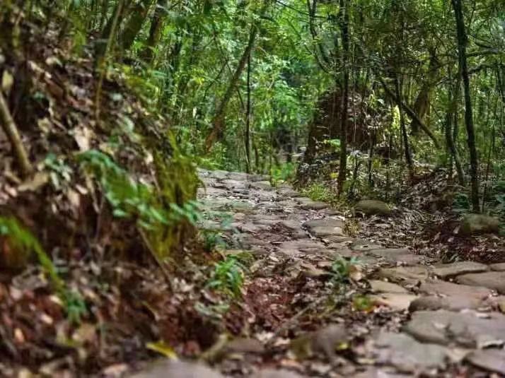 微信圖片_20231201162619.jpg 微信圖片_20231201162619.jpg