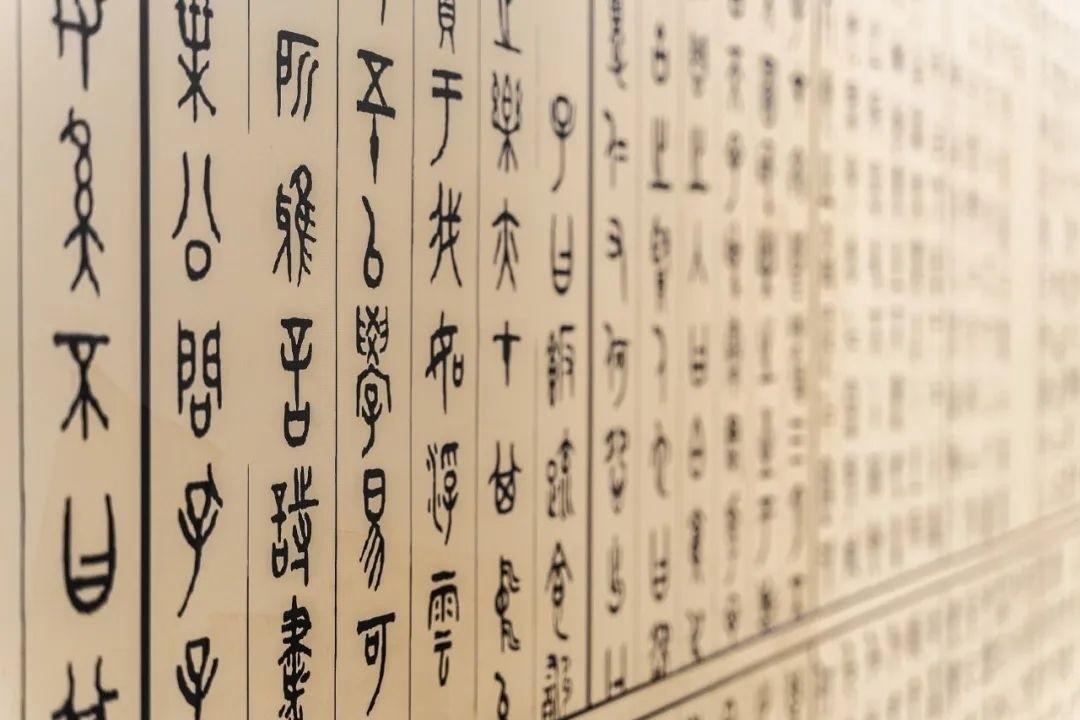 微信圖片_20240304154808.jpg 微信圖片_20240304154808.jpg