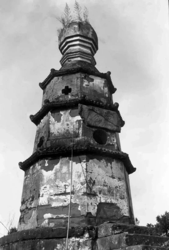 微信圖片_20250313102759.jpg 微信圖片_20250313102759.jpg