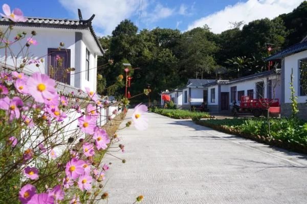 微信圖片_20231201162656.jpg 微信圖片_20231201162656.jpg