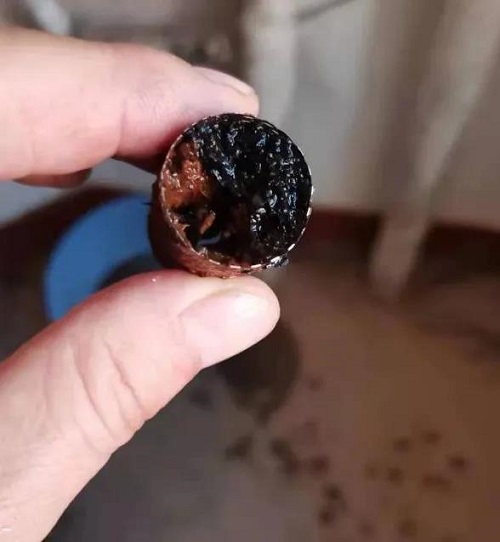 success 微信圖片_20211025101039.jpg