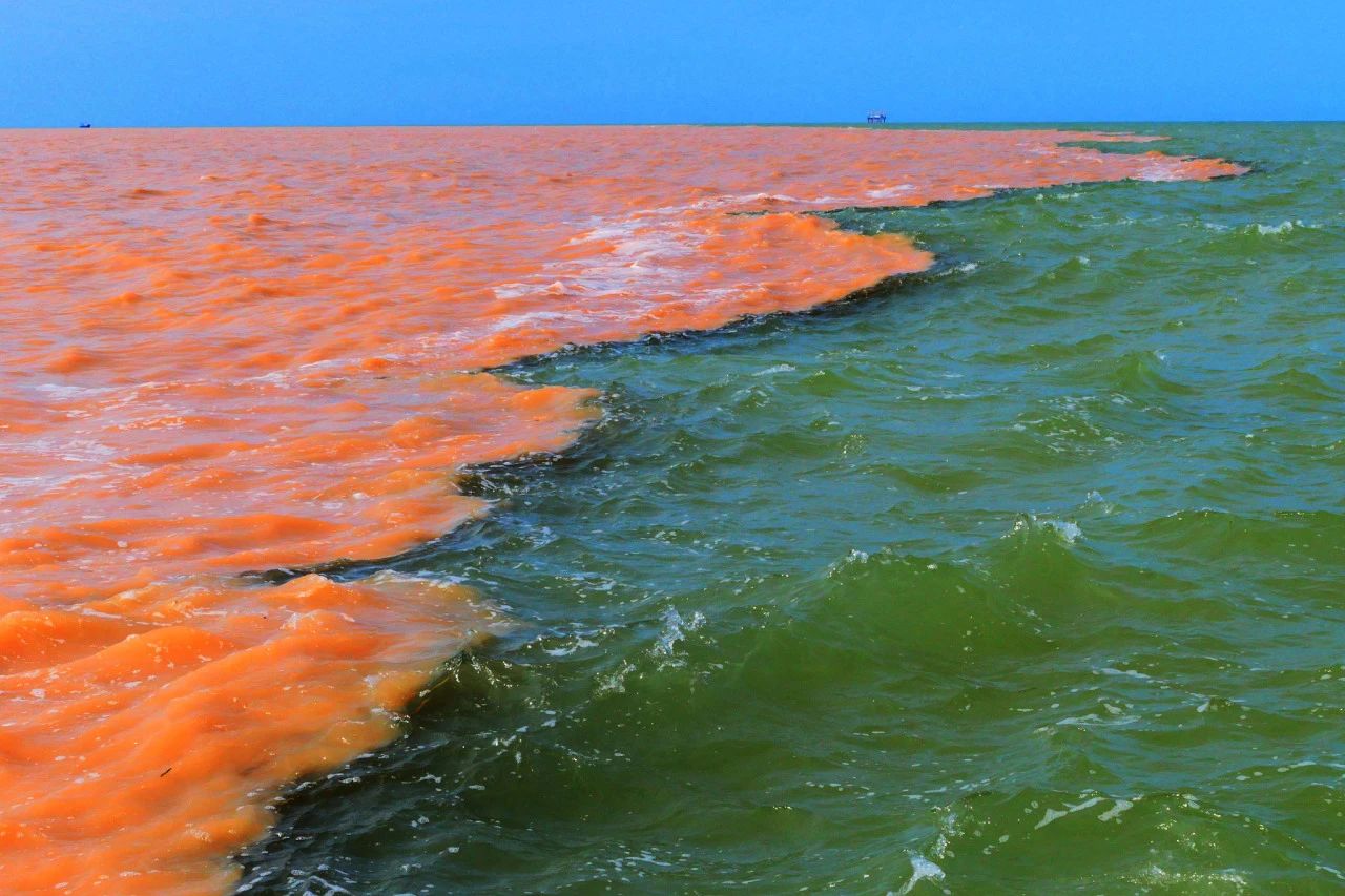 微信圖片_20240311105915.jpg 微信圖片_20240311105915.jpg