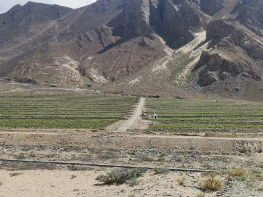 微信圖片_20240328090009.png 微信圖片_20240328090009.png