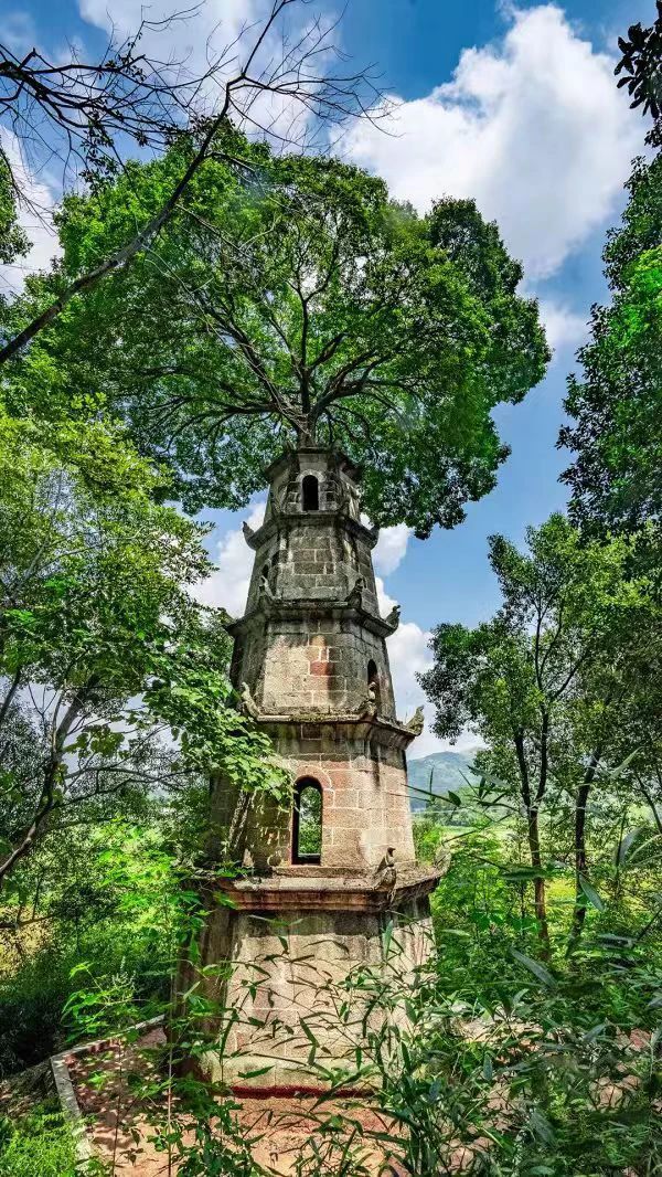 微信圖片_20250313102757.jpg 微信圖片_20250313102757.jpg