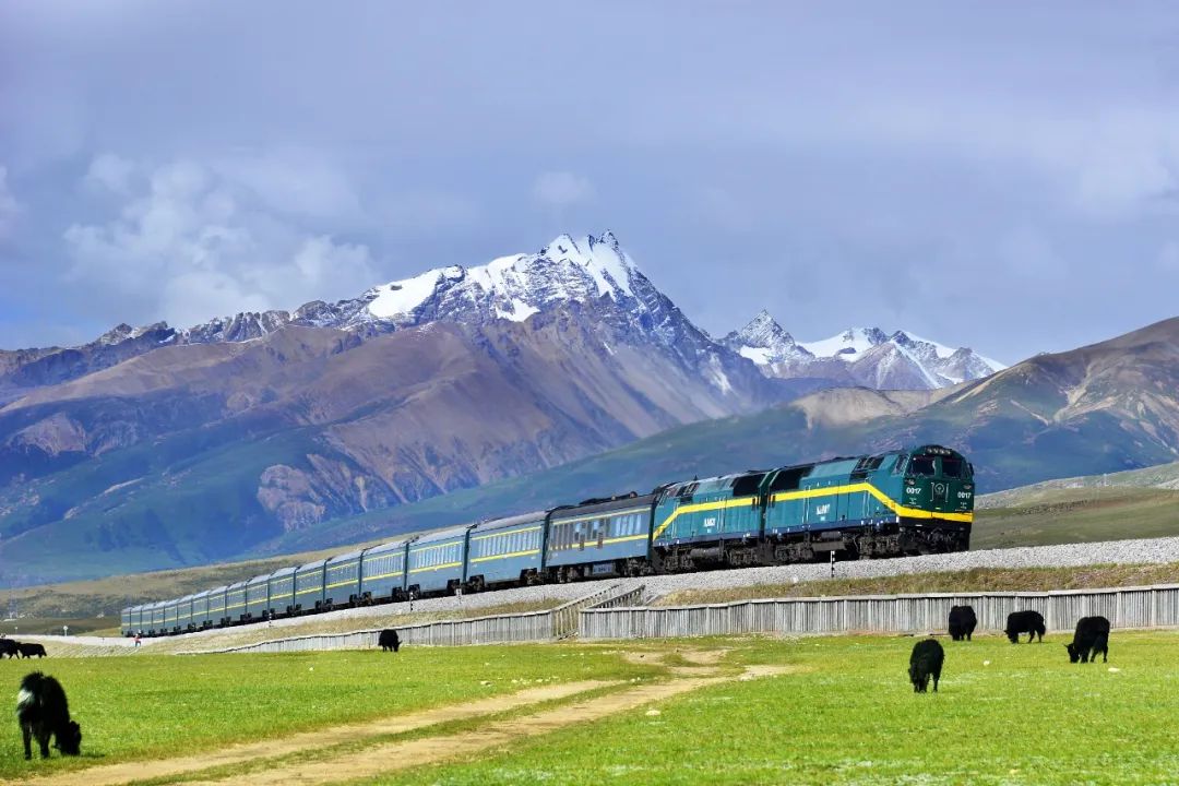 微信圖片_20240124161653.jpg 微信圖片_20240124161653.jpg