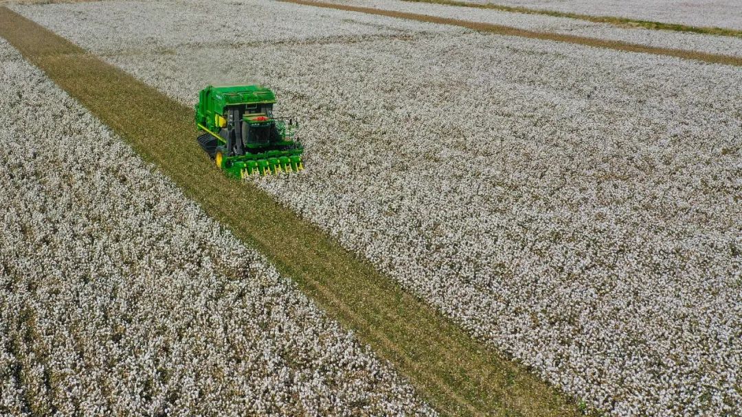 微信圖片_20240129090434.jpg 微信圖片_20240129090434.jpg