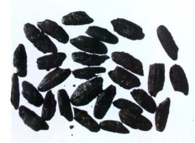 微信圖片_20240109085020.jpg 微信圖片_20240109085020.jpg