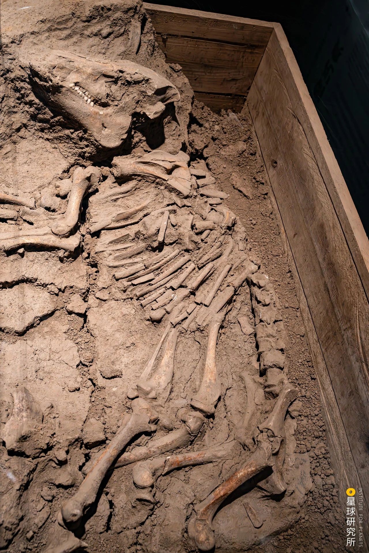 微信圖片_20231106104119.jpg 微信圖片_20231106104119.jpg